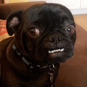 Meet your Posher, Cathy